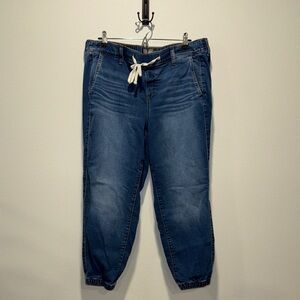 Torrid Blue Denim Joggers